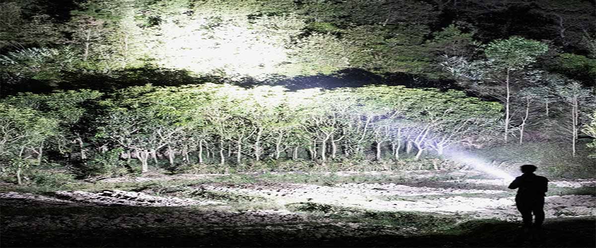 چراغ قوه حرفه ای پایه دار W591